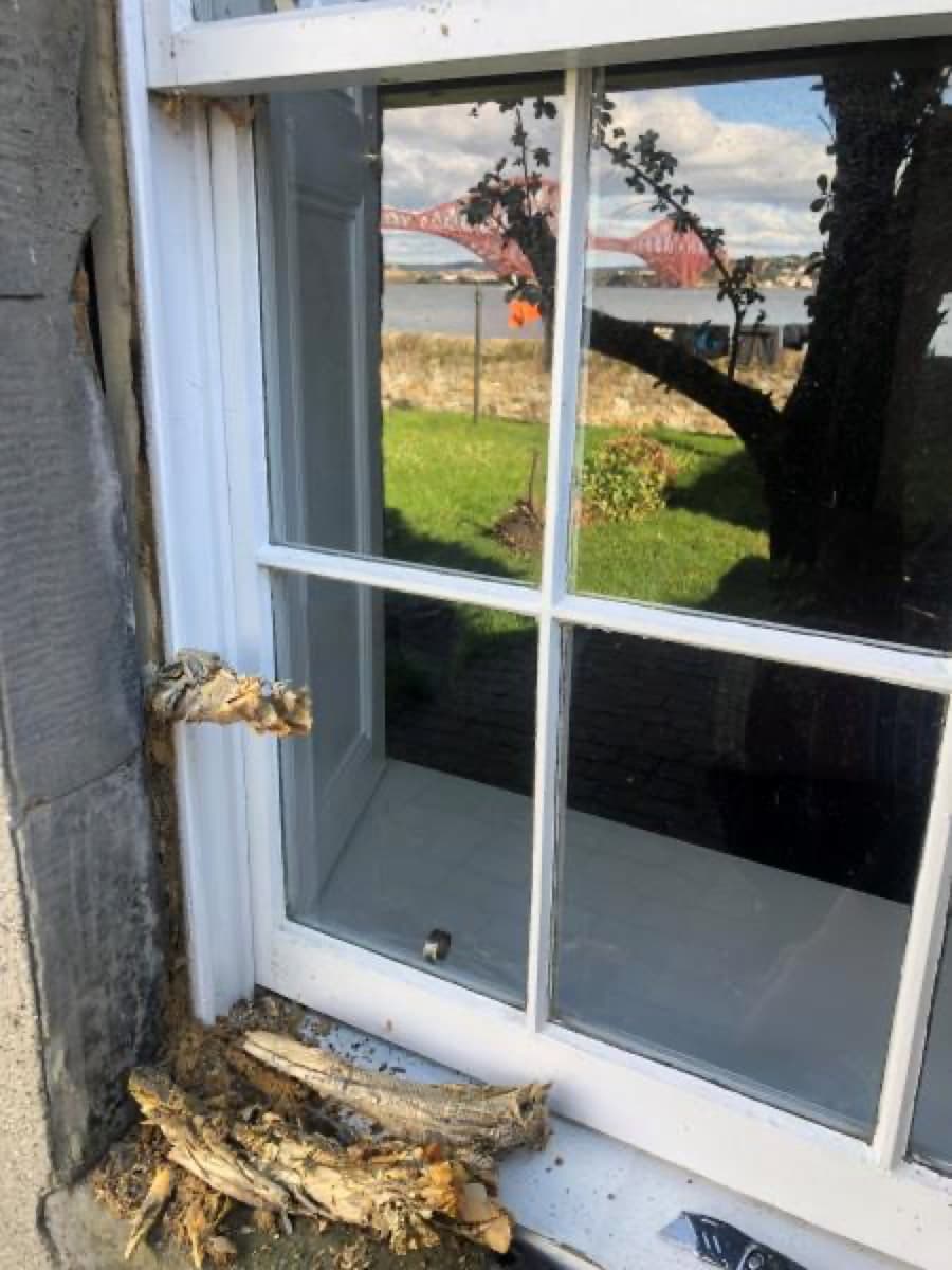 Timber Sash & Case Refurbishment β Edinburgh Windows and Doors project photo