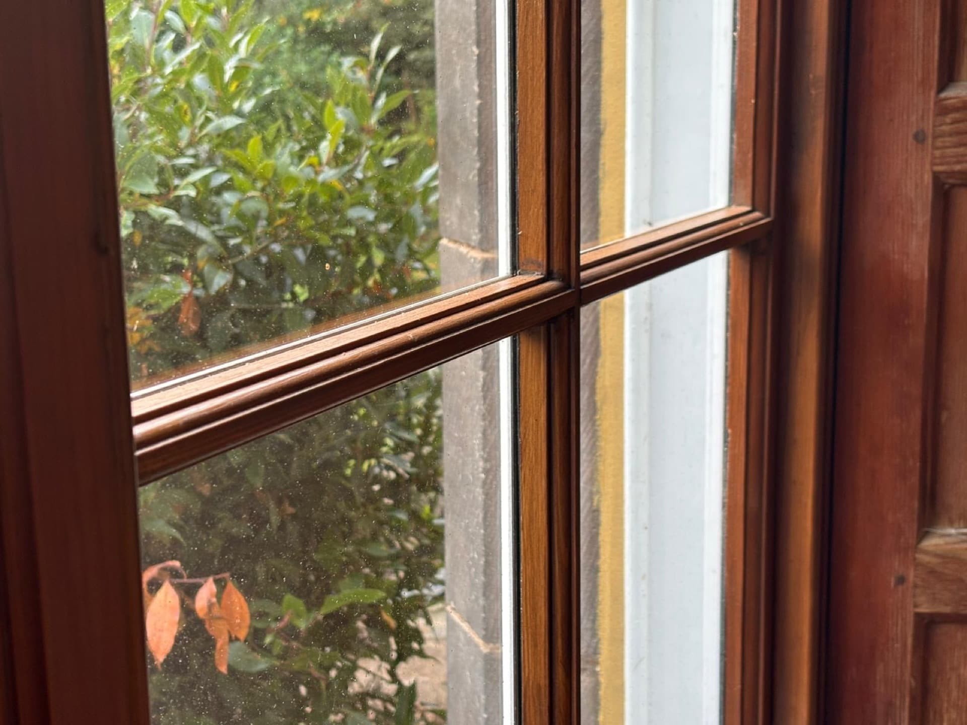 Sash and case windows