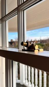 Colinton Window preservation